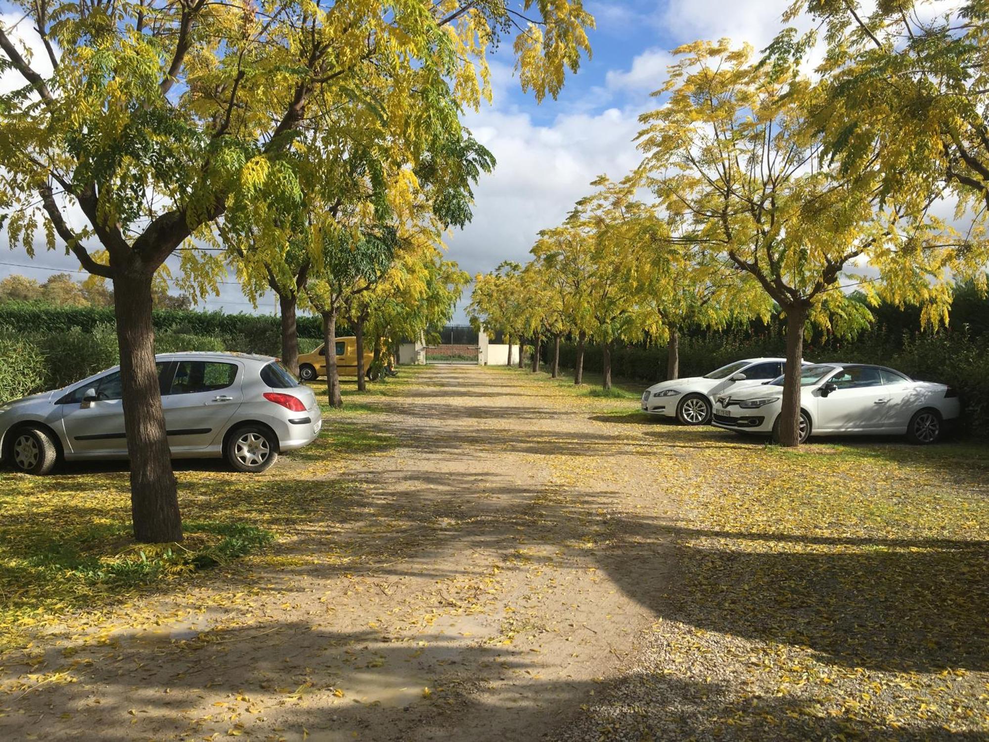 Chambres D'Hotes Avec Jacuzzi Et Piscine Au Mas De Cadoule Saint-Just  Eksteriør billede